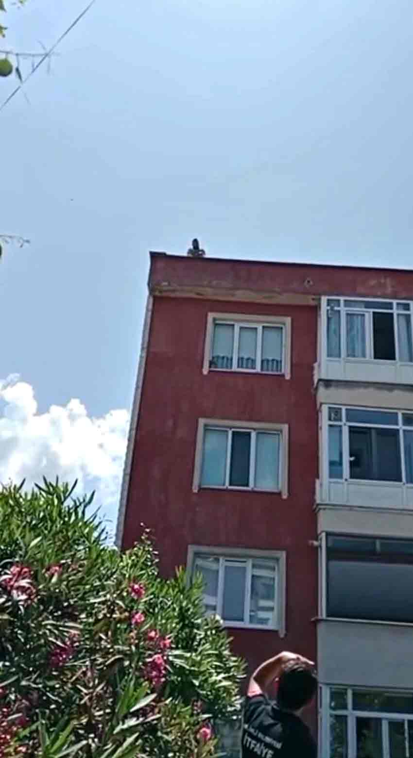 Whats App Image 2025 06 29 At 15.46.35