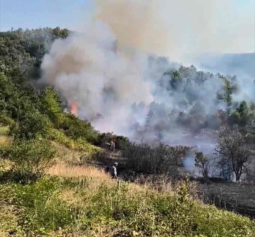 0D72C0Db Fbc2 4A28 99Cb 04F9B9Afc690