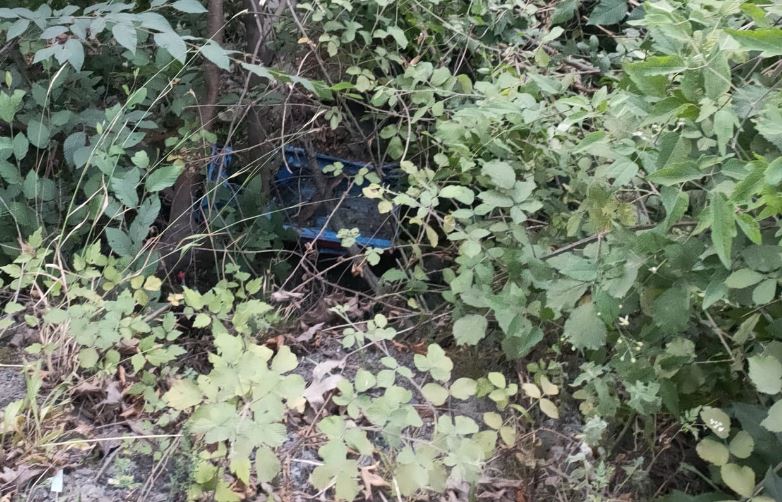 30 Metreden Ormana 2