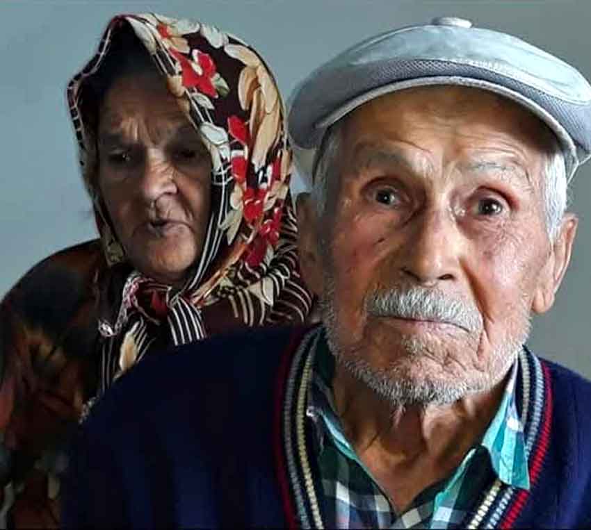 516602496 4337328513221847 3518878303341373905 N