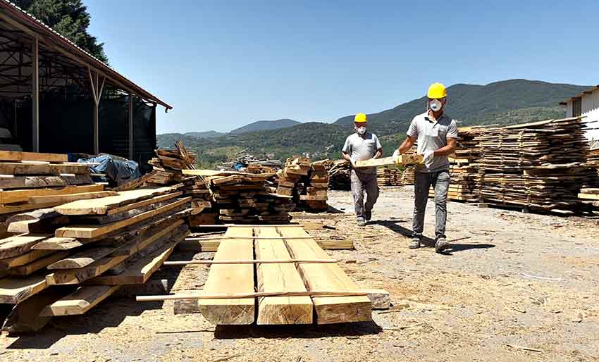 516623171 1209545394533913 2319535570741406940 N