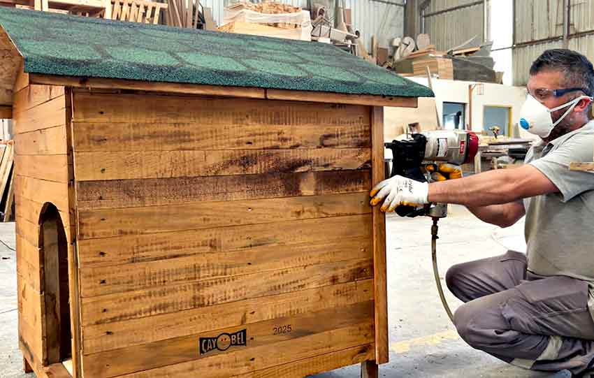 517357004 1209542824534170 5012855325987674620 N