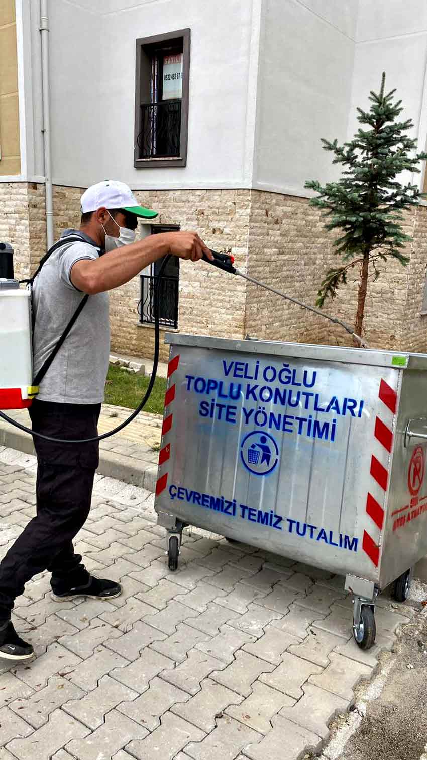 518228816 1215633707258415 2116842016098208606 N