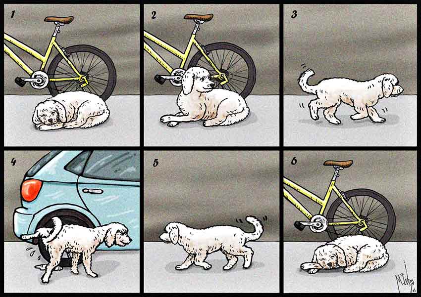 520035472 1216117923876660 1519783454900288564 N