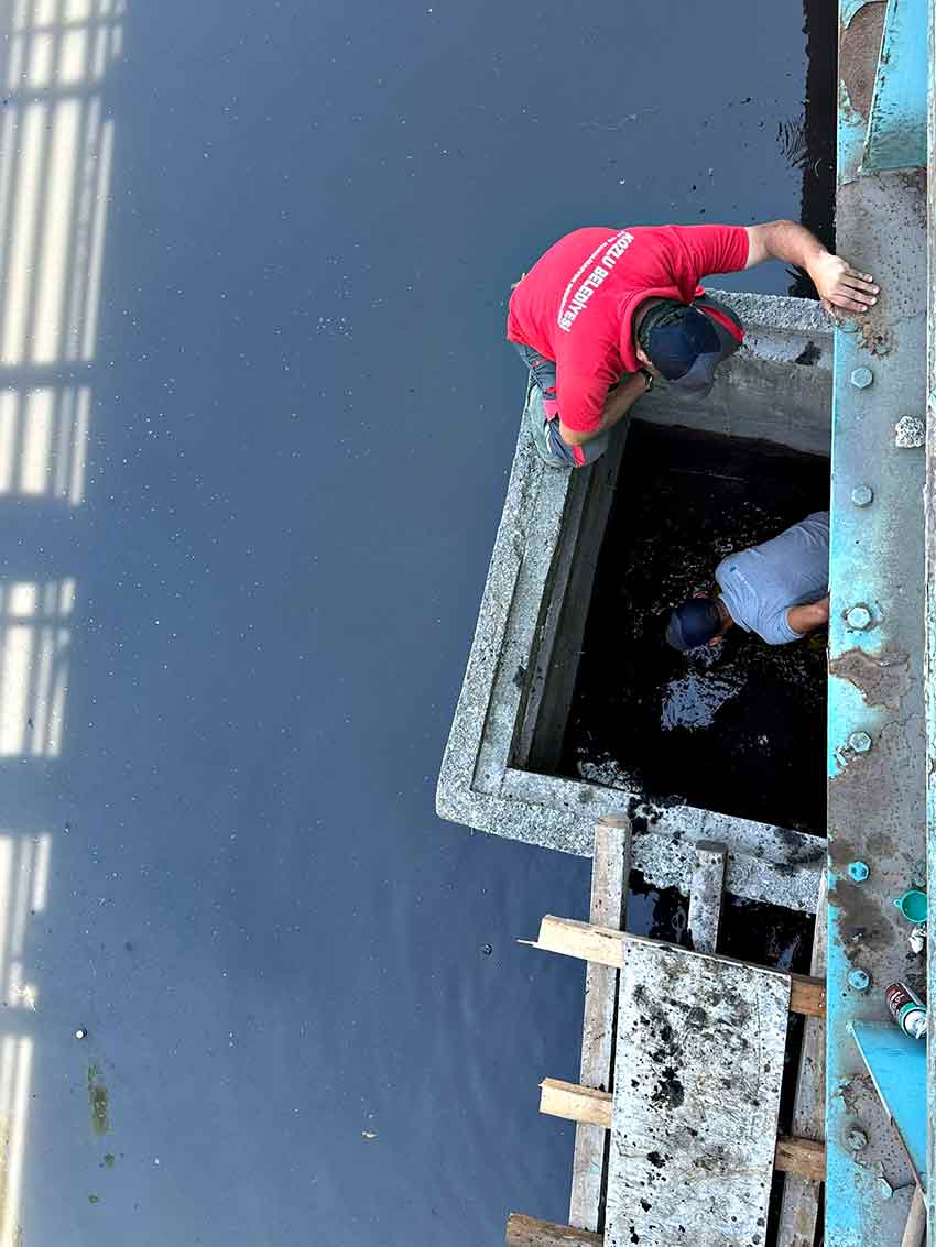 521617576 1686927468820824 6994149344472004566 N