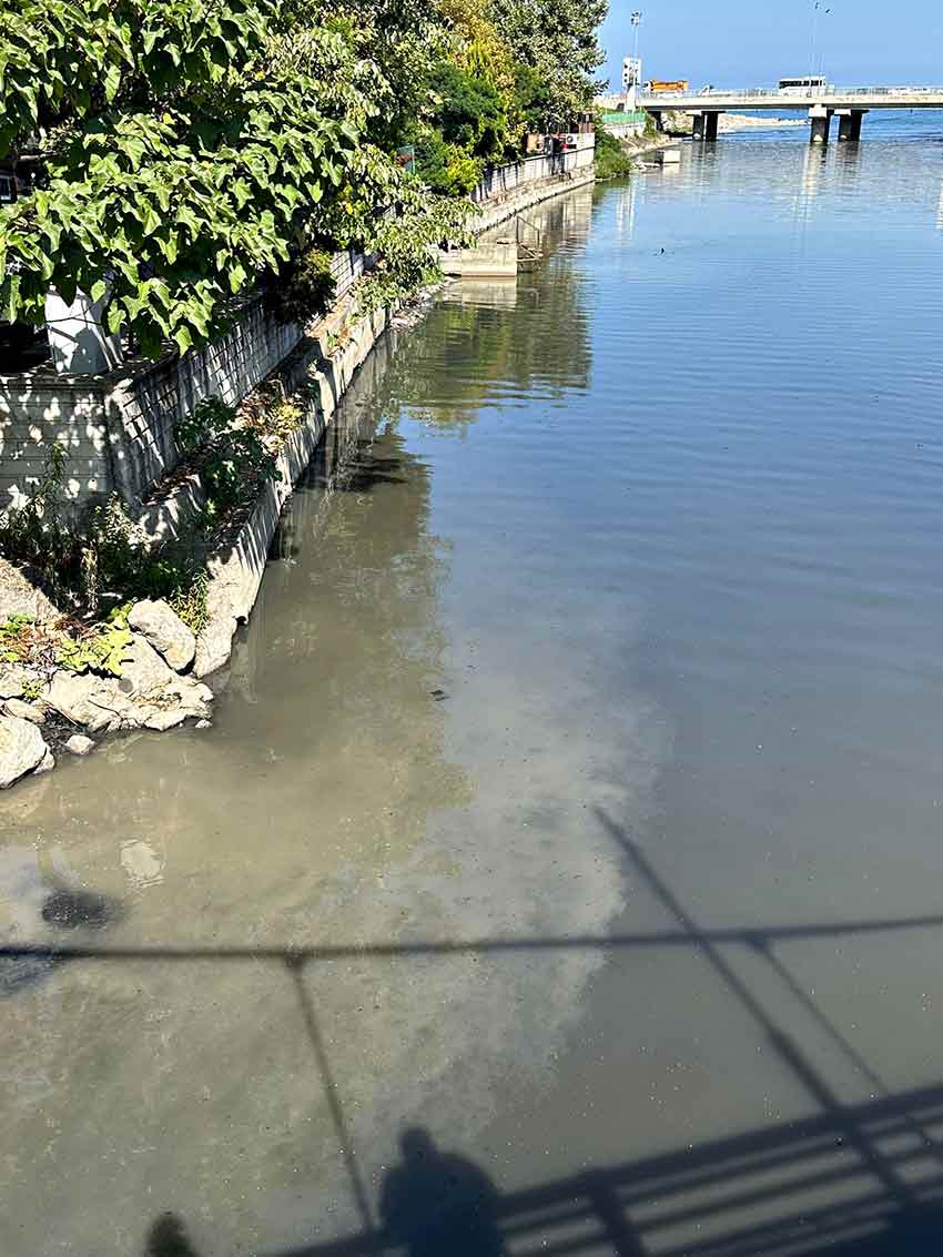 522684572 1686927405487497 4865051973167066234 N