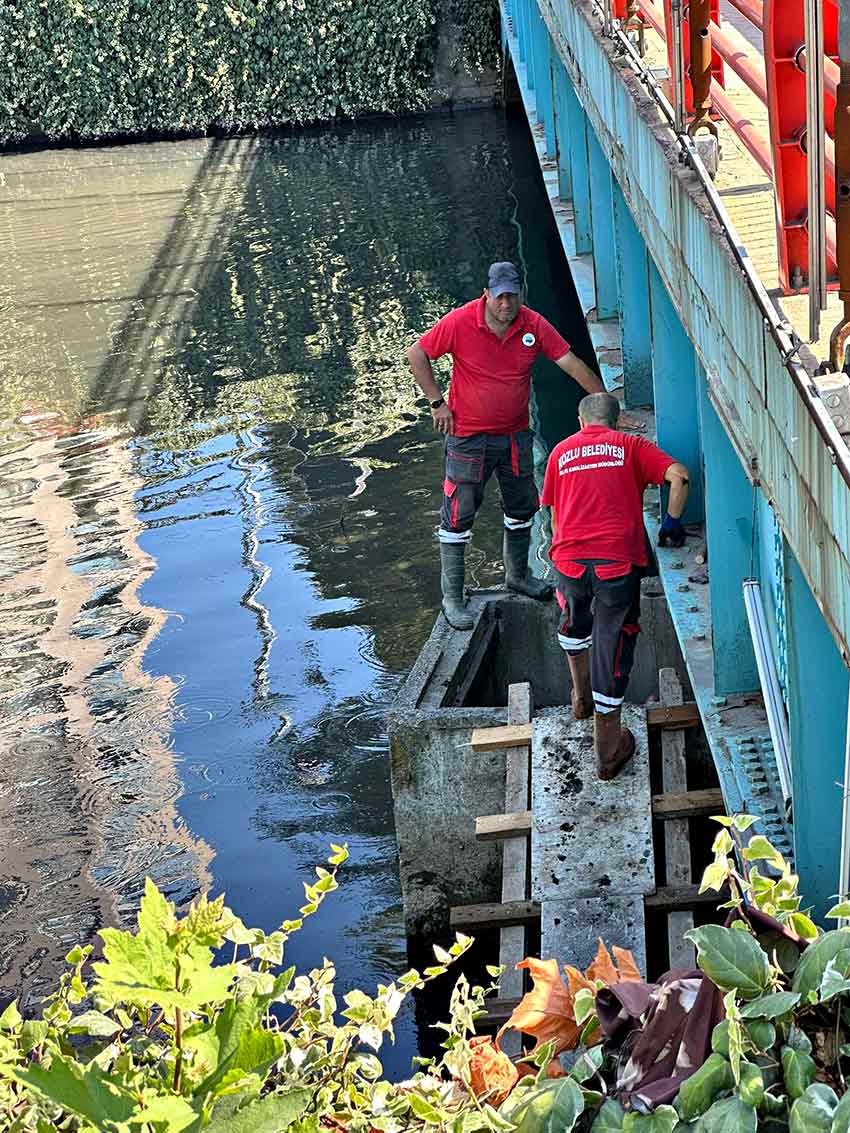 523787966 1686927402154164 6573529986505214174 N