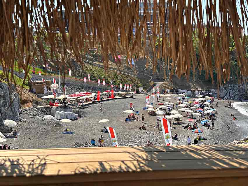 5D917Ead C2D0 4A18 9Dd7 8B4D9E590Ff1