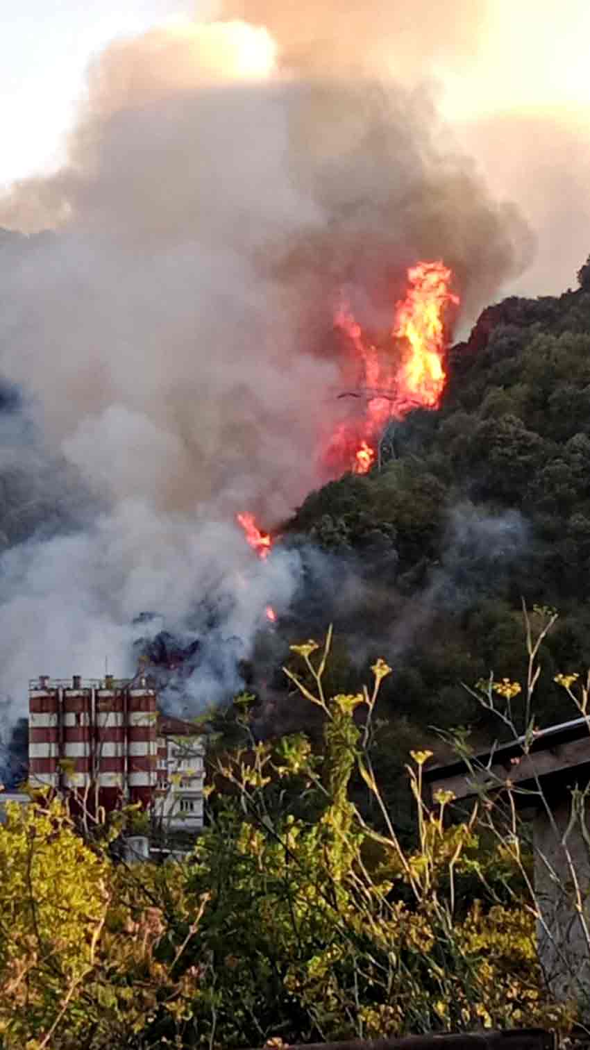 83D01395 A36A 4Fca 8F16 Cf05Bc6Cf7Ec