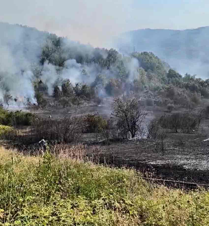 86Dec30C B4E6 4892 A1C2 938Fef1750Af