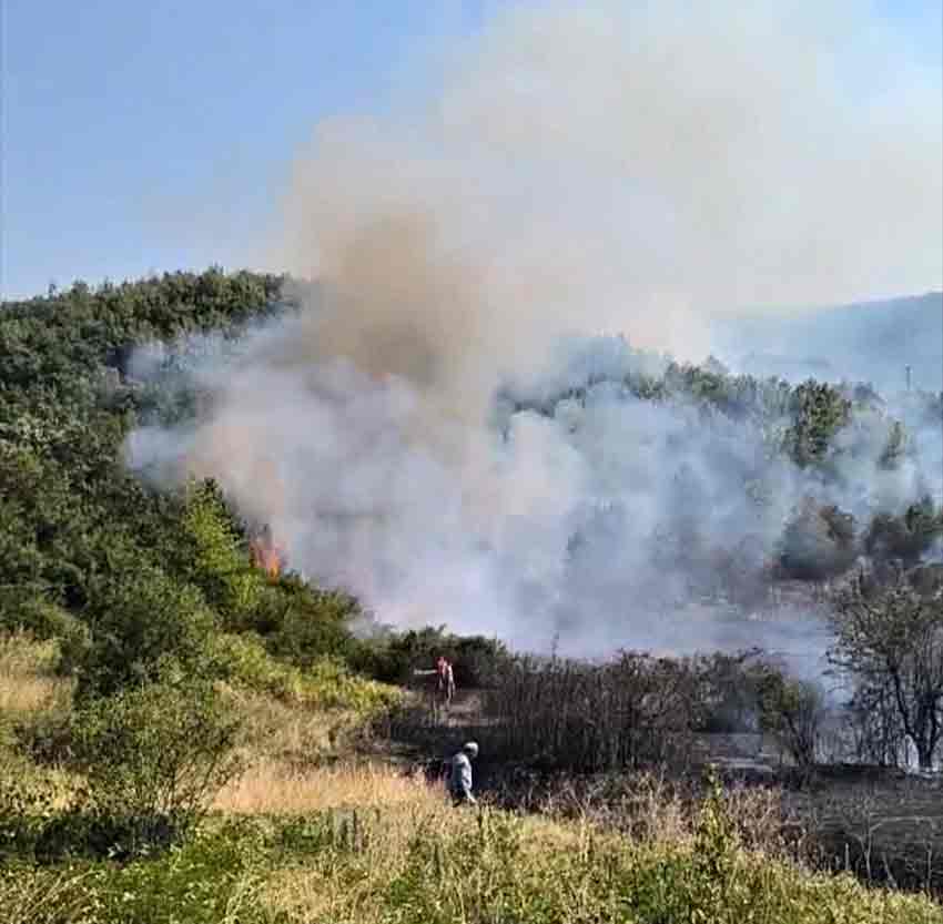 96D7A352 9B17 4617 8728 4F6D6F9F1C73