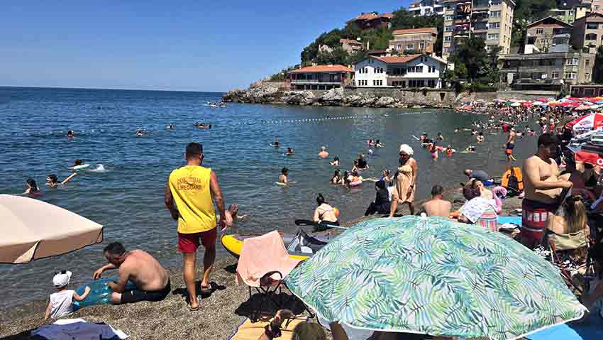 9Acd6650 Eb72 4445 A02E 343Ff92Cfc35