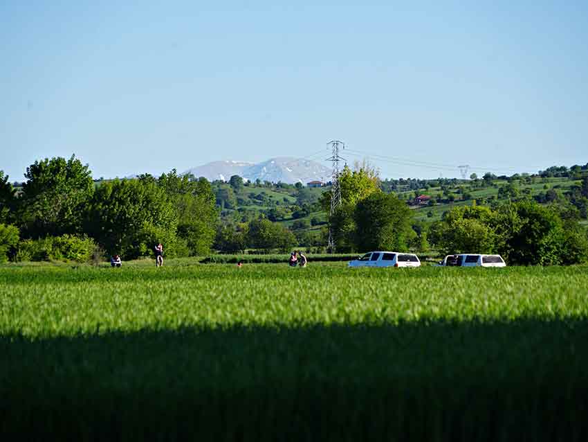 A W499343 02