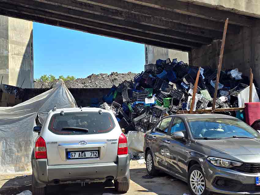 A396D299 Db8C 407B 86F2 9B4Df89F0E0E