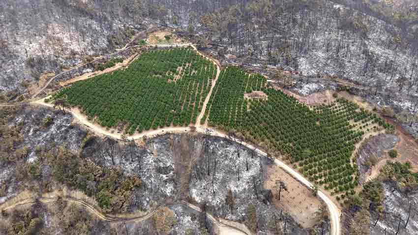 B U R S A’ D A Y A N A N O R M A N L A R D R O N L A G O R U N T U L E 841323 249389