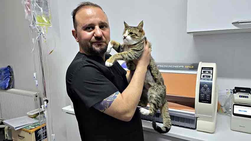 B6658C4C 6E37 4828 B438 Edb8223Faafc