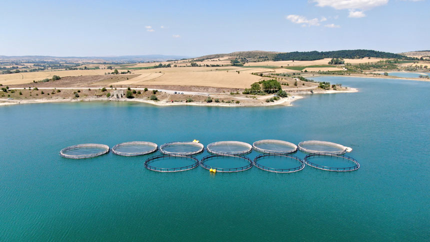 Balık Kafesleri Patladı, Oltasını Alan Baraja Koştu (2)