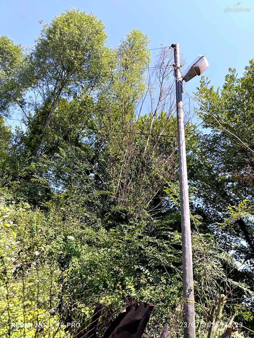 Çaycuma Elektirk Direkleri (1)