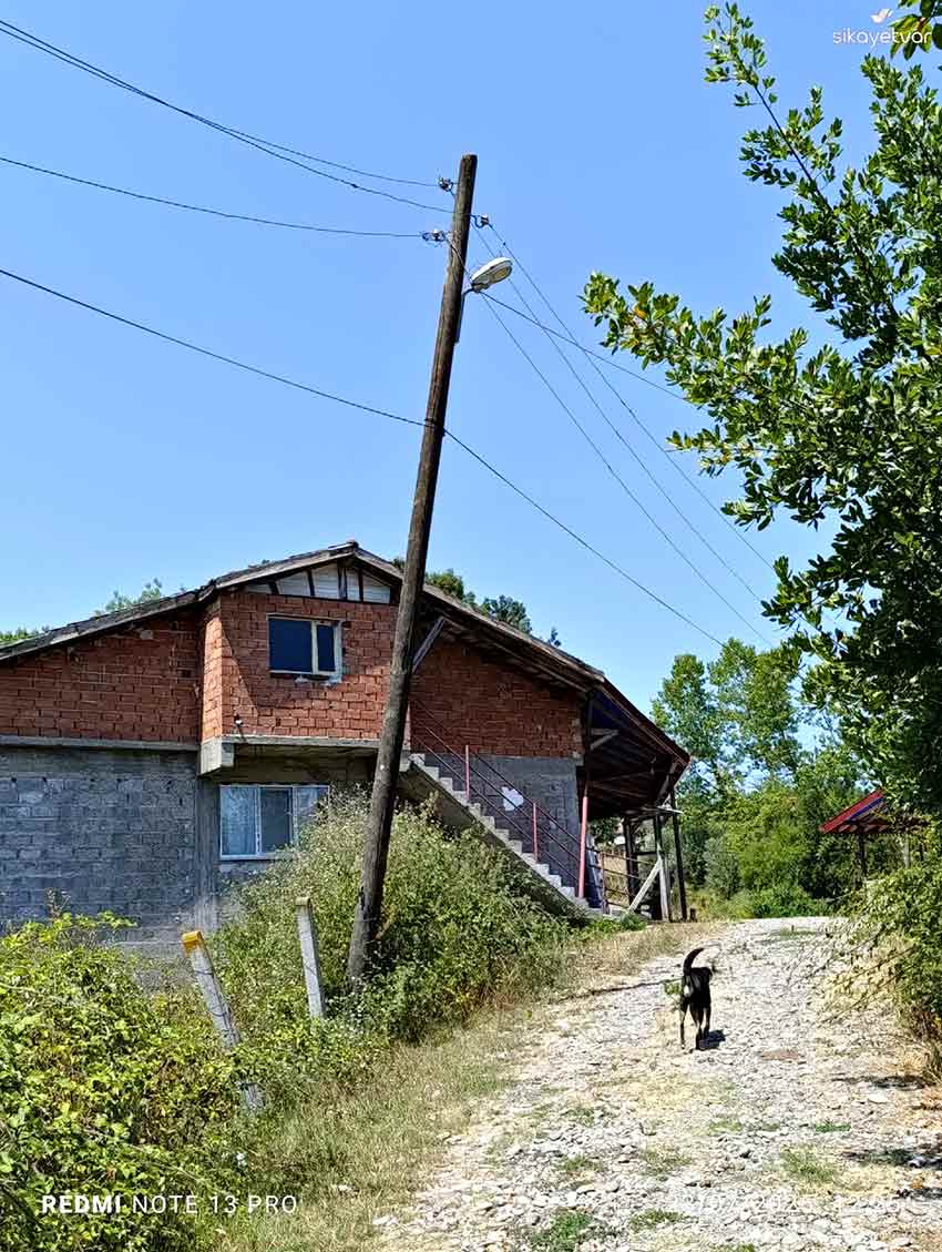 Çaycuma Elektirk Direkleri (2)