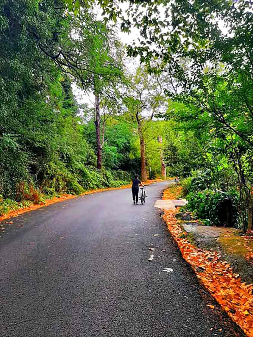 Fener Yürüuüş Parkuru (1)