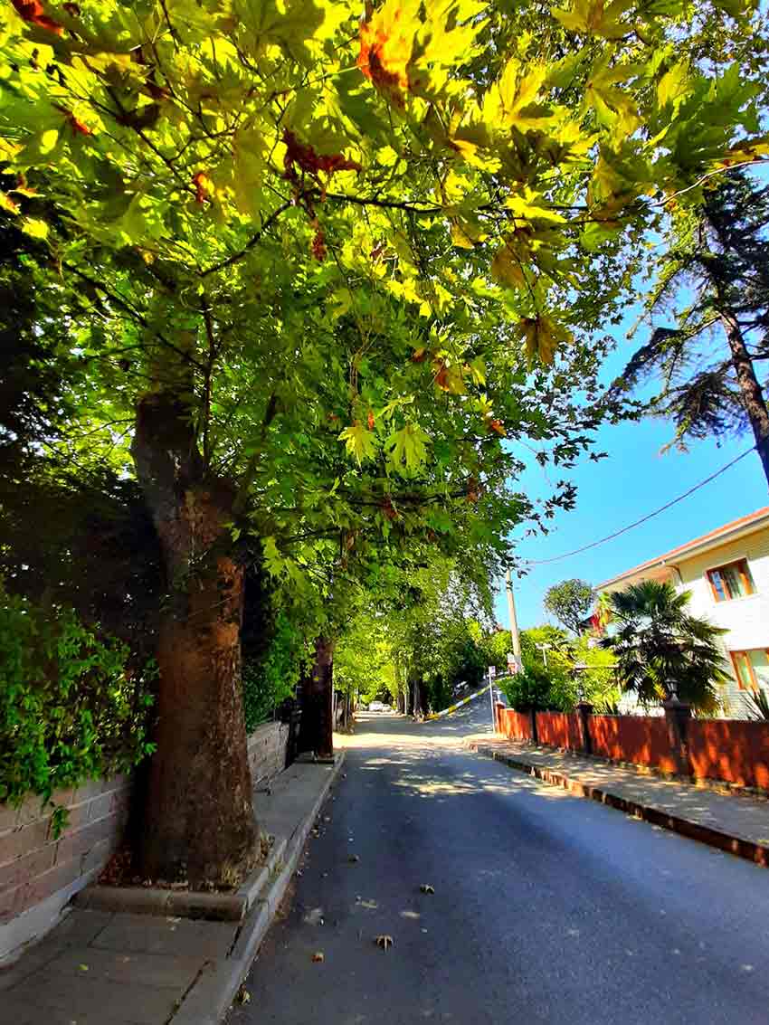 Fener Yürüuüş Parkuru (2)