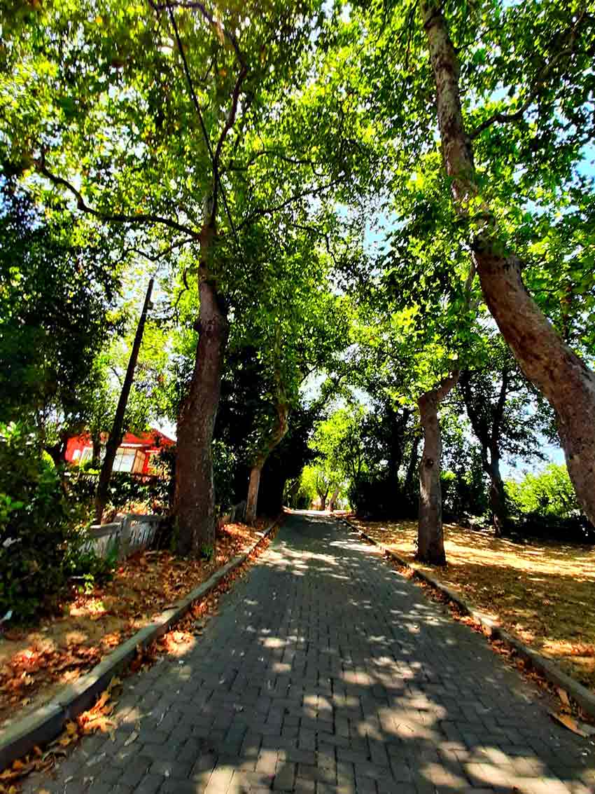 Fener Yürüuüş Parkuru (3)