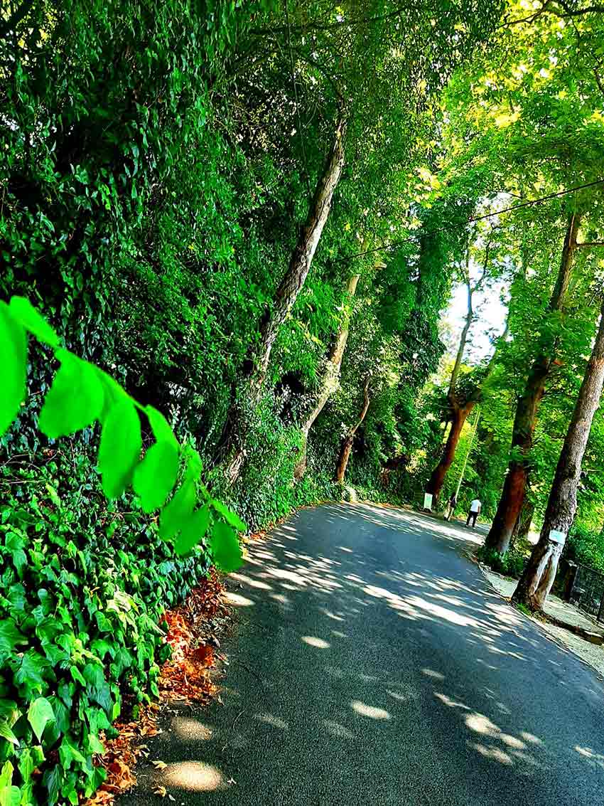 Fener Yürüuüş Parkuru (4)