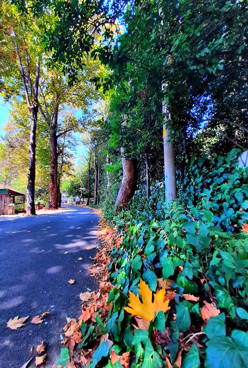 Fener Yürüuüş Parkuru (5)