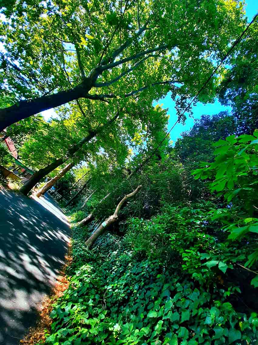 Fener Yürüuüş Parkuru (6)