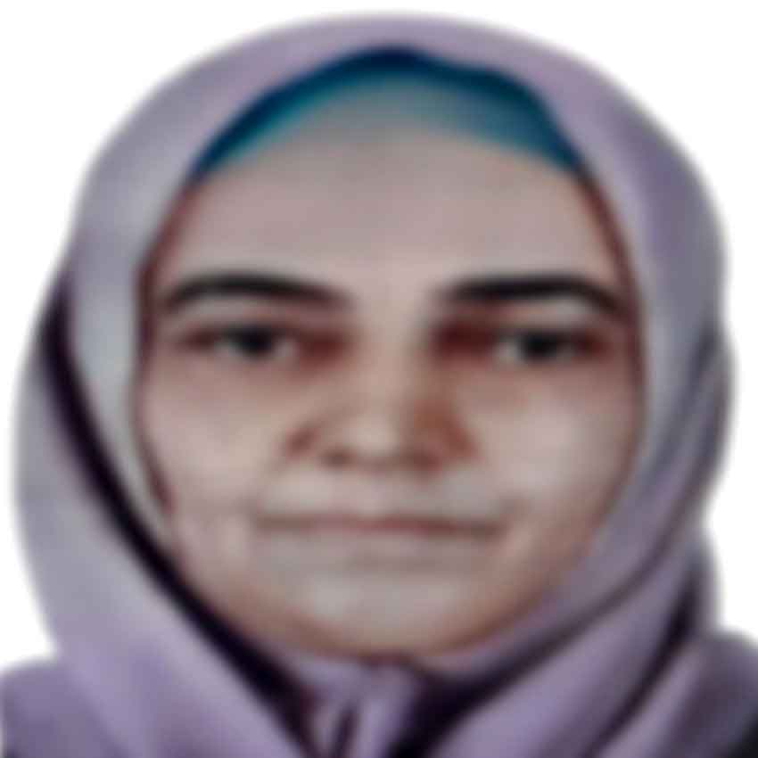 I S T A N B U L S A N C A K T E P E D E T A R T I S T I G I A N N E 837258 248143