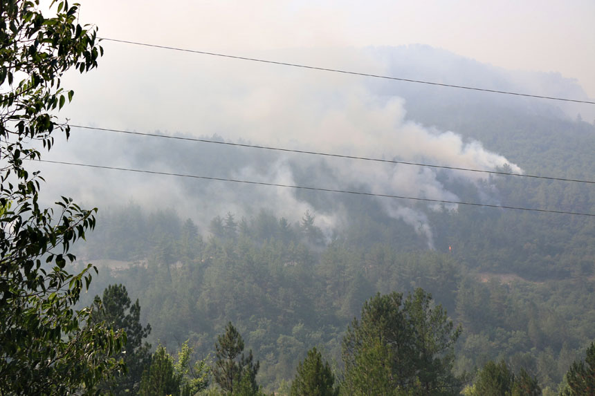 Karabük'te Orman Yangını 69 Saattir Sürüyor (1)