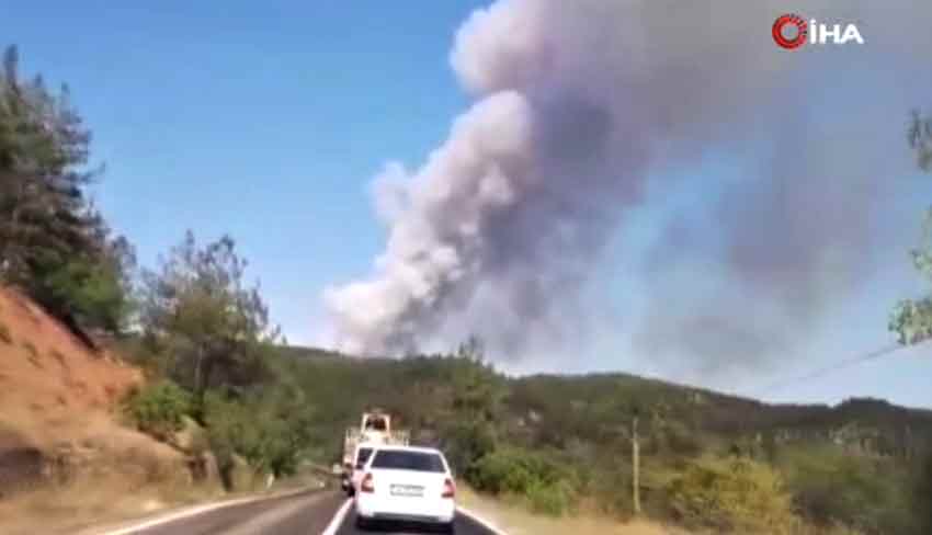 Karabük'te Orman Yangını Alevler Rüzgarla Büyüyor1Jpg