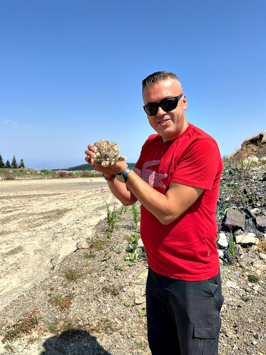 Kastamonu'da Yaban Hayvanları Renkli Görüntüler Oluşturdu (1)