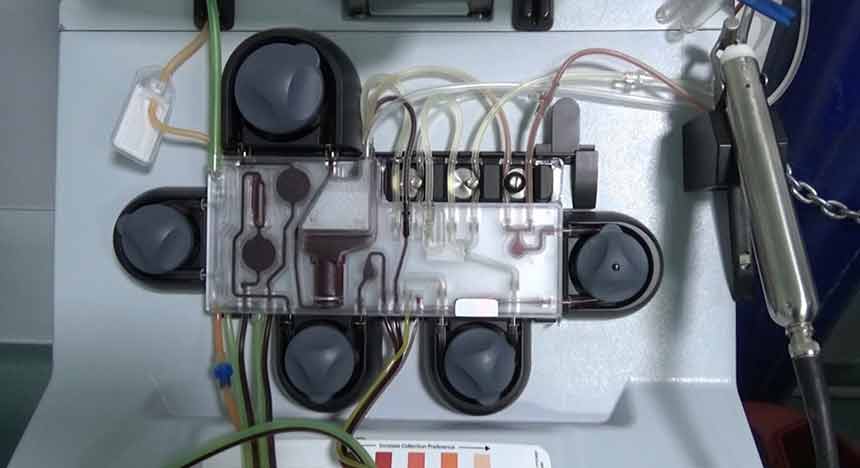 Kökhücretedavisi (1)