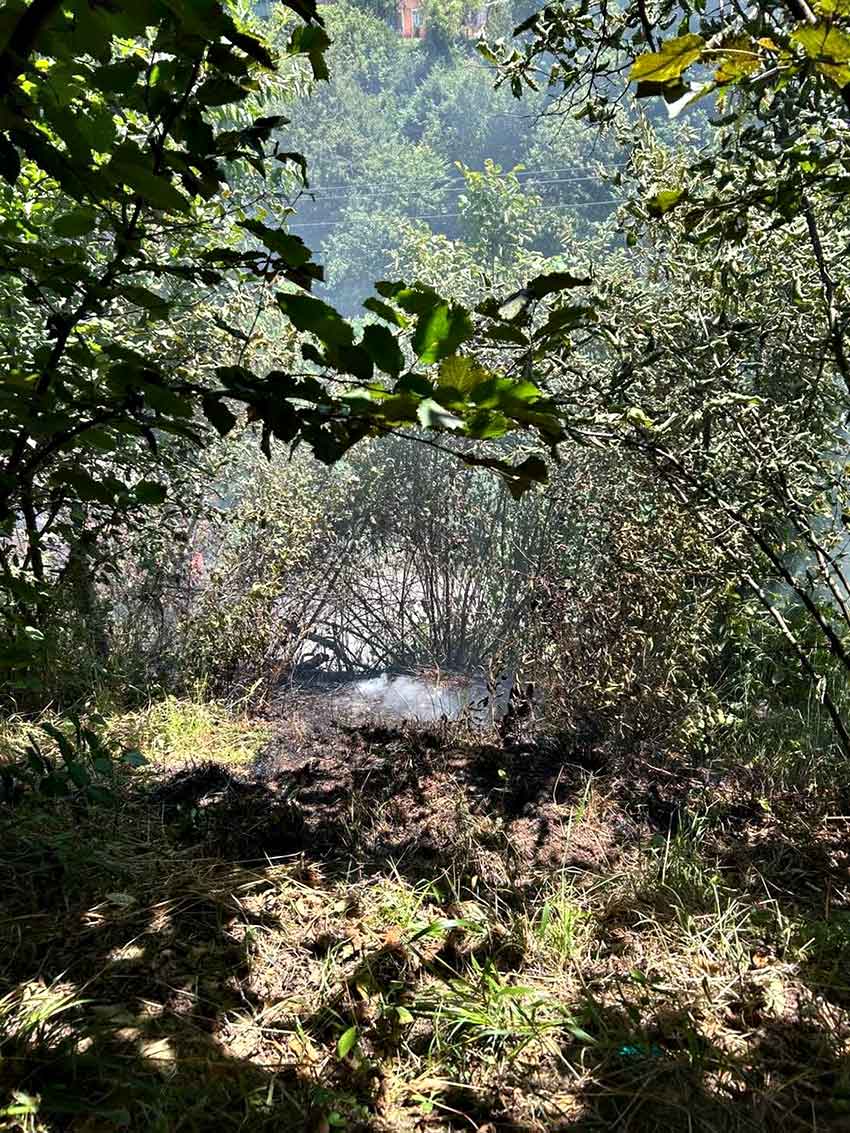 Kozlu Anız Yangını Korkuttu (1)