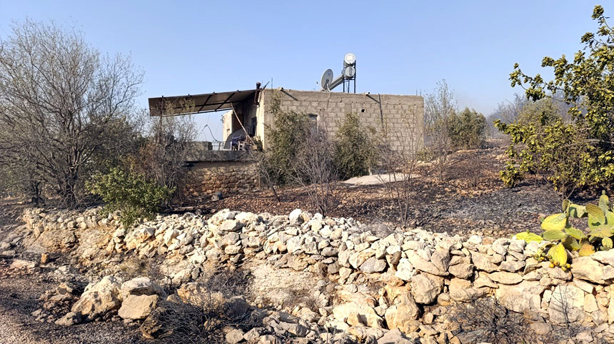 Mersin'deki Orman Yangını Nedeniyle 4 Mahalle Boşaltıldı (2)