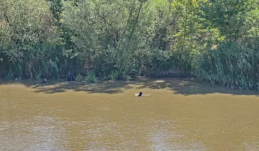 O M E R K A R D E S I V E A R K A D A S I N I K U R T A R A N B A B 814416 241177