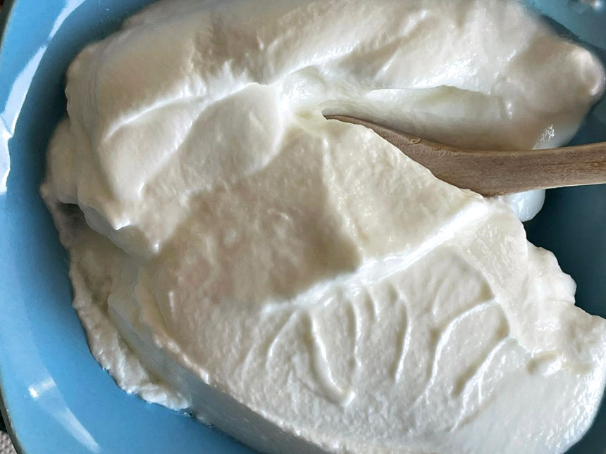 Prof. Dr. Hüdayi Ercoşkun Yoğurt Türk'tür Türk Kalacak (1)