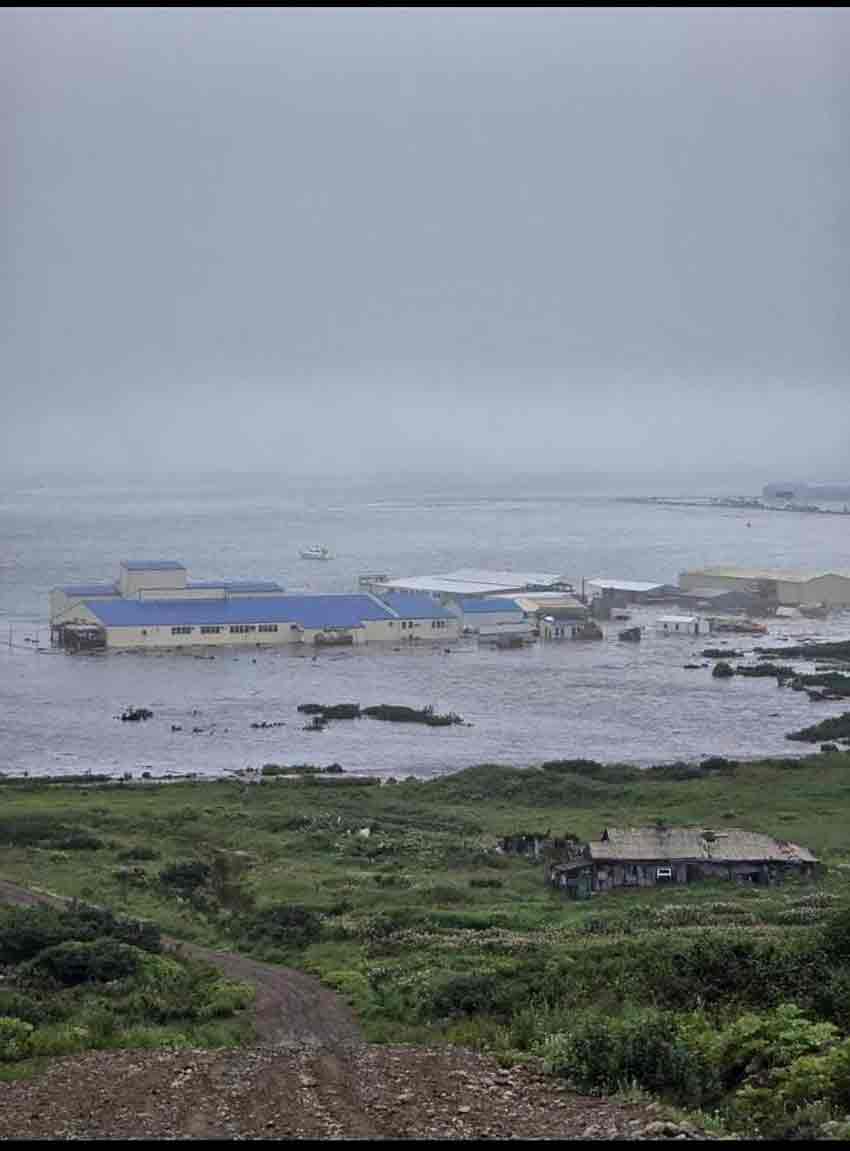 R U S Y A N I N K A M C A T K A Y A R I M A D A S I N D A 8.8 B U 840411 249113