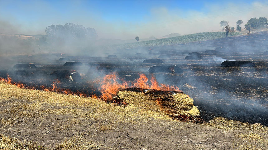 Saman Balyası Yangını Ormana Sıçradı (2)