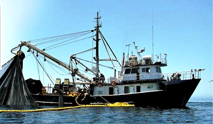 Samsun'da 2025 Yılında 65 Bin 658 Ton Balık Üretimi Planlanıyor (2)