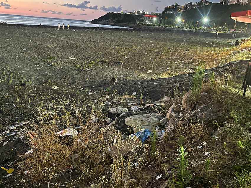 Whats App Image 2025 07 03 At 11.02.27