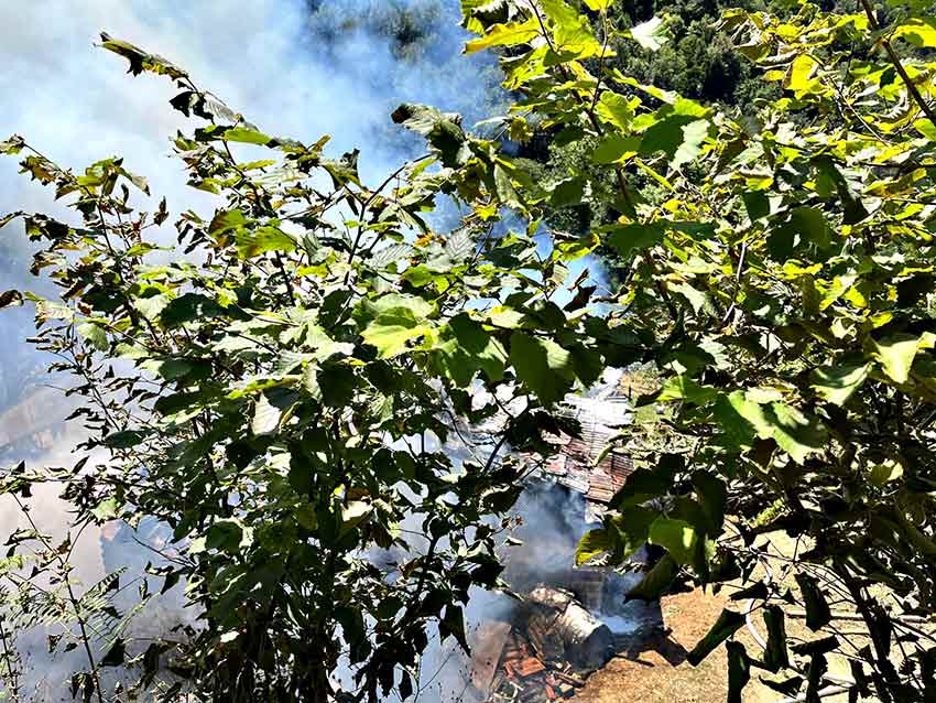 Whats App Image 2025 07 03 At 12.11.59