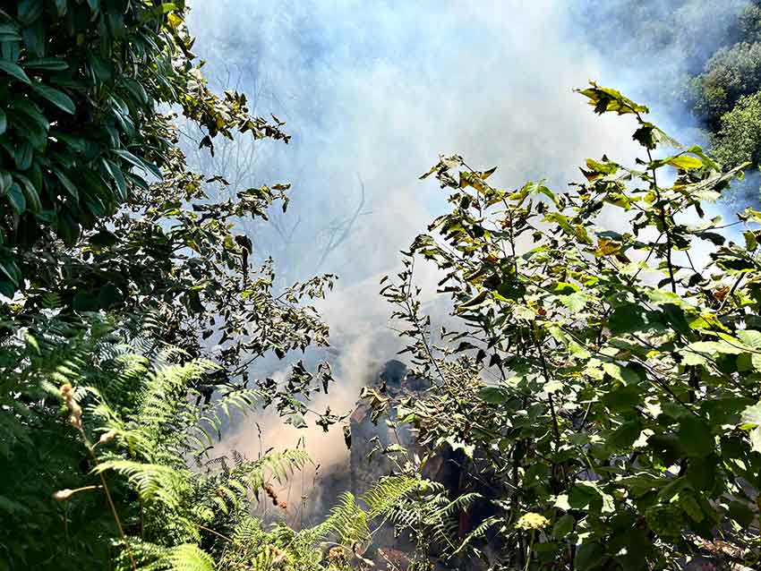 Whats App Image 2025 07 03 At 12.12.00