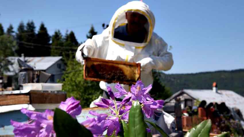 Whats App Image 2025 07 03 At 12.36.37