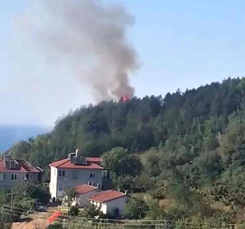 Whats App Image 2025 07 06 At 19.24.31