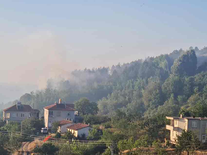 Whats App Image 2025 07 06 At 19.58.37