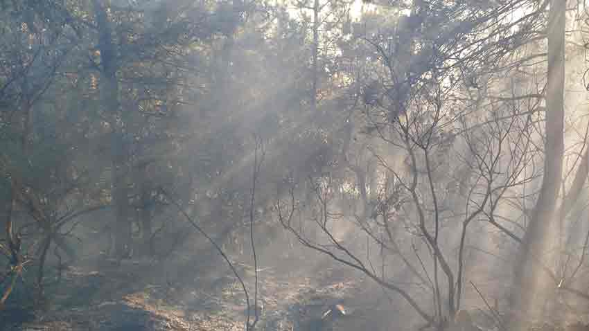 Whats App Image 2025 07 06 At 19.58.38 (1)