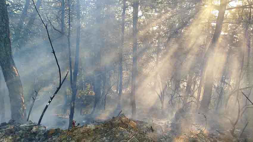 Whats App Image 2025 07 06 At 19.58.38