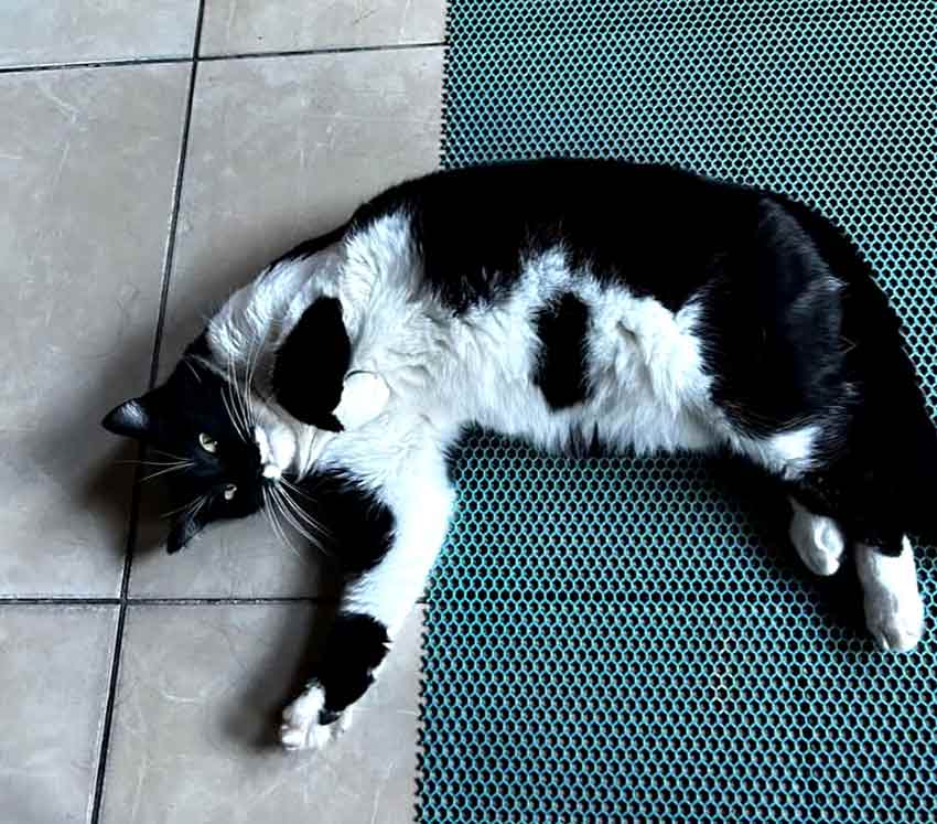 Whats App Image 2025 07 08 At 14.26.33